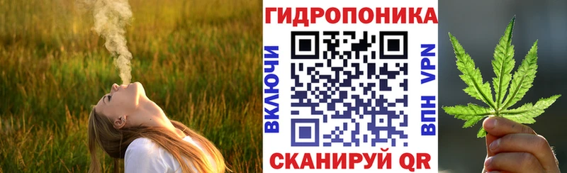 Где купить Великий Устюг А ПВП МАРИХУАНА МЕФ Гашиш