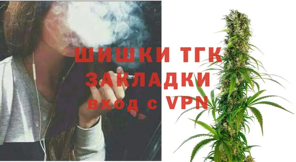 spice Пересвет