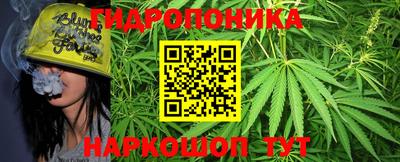 прущие грибы Балашиха