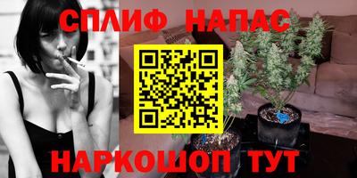 гидропоника Берёзовский