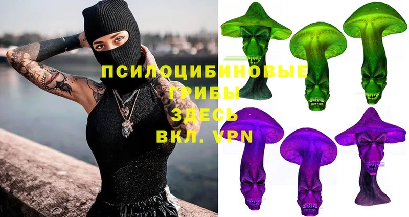 Псилоцибиновые грибы мухоморы  купить наркотик  Великий Устюг 