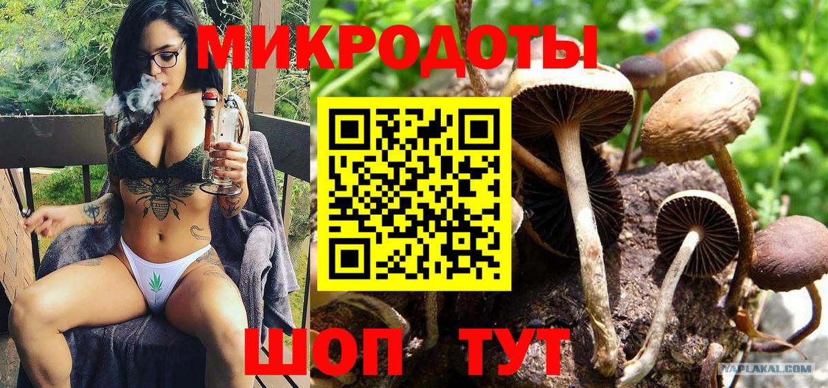 Кодеин Великий Устюг